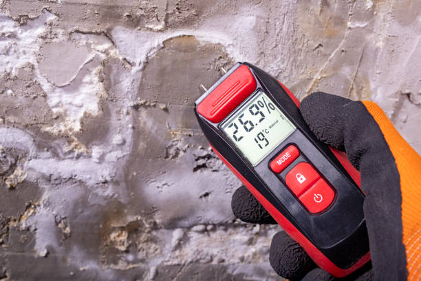 Best Residential Mold Remediation in Kingstown, MD