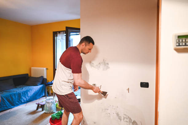 Best HVAC Mold Remediation in Kingstown, MD